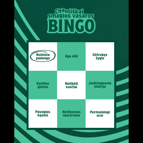 SD-business-case-Klaipedos-maistas-BINGO-pvz-2
